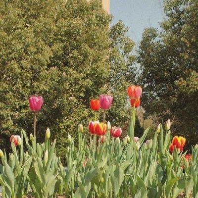 乐发大众彩票app下载安装