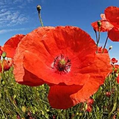 365体育亚洲官方入口app下载